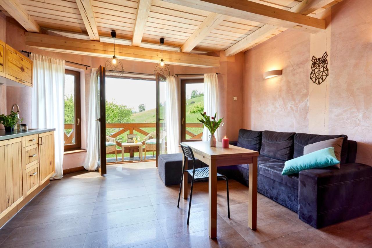 Apartamenty Na Poludniowym Stoku Wierchomla Mala Luaran gambar