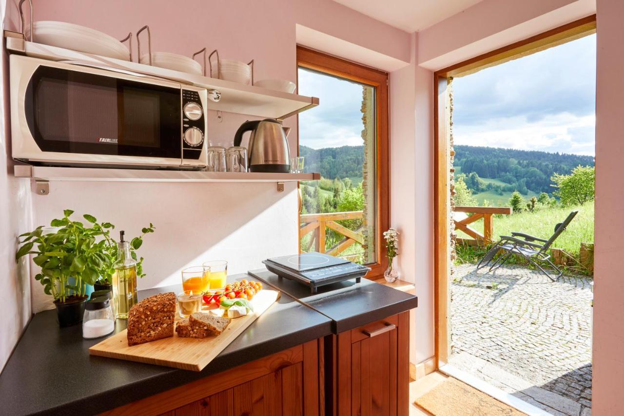 Apartamenty Na Poludniowym Stoku Wierchomla Mala Luaran gambar